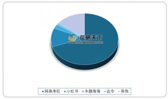 印度禁止電商銷(xiāo)售持股公司產(chǎn)品與我國(guó)跨境進(jìn)口電商格局淺析